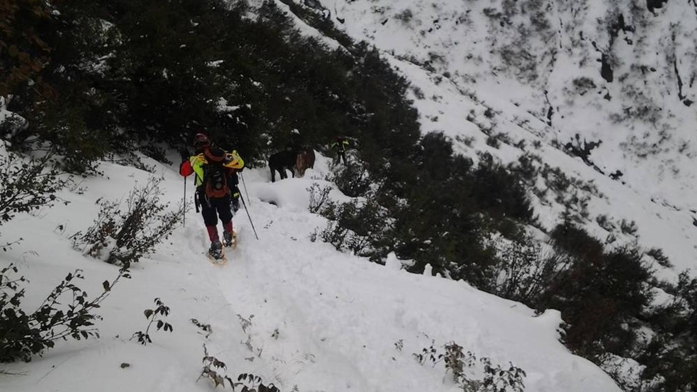 mandria soccorsa FB 7.jpg
