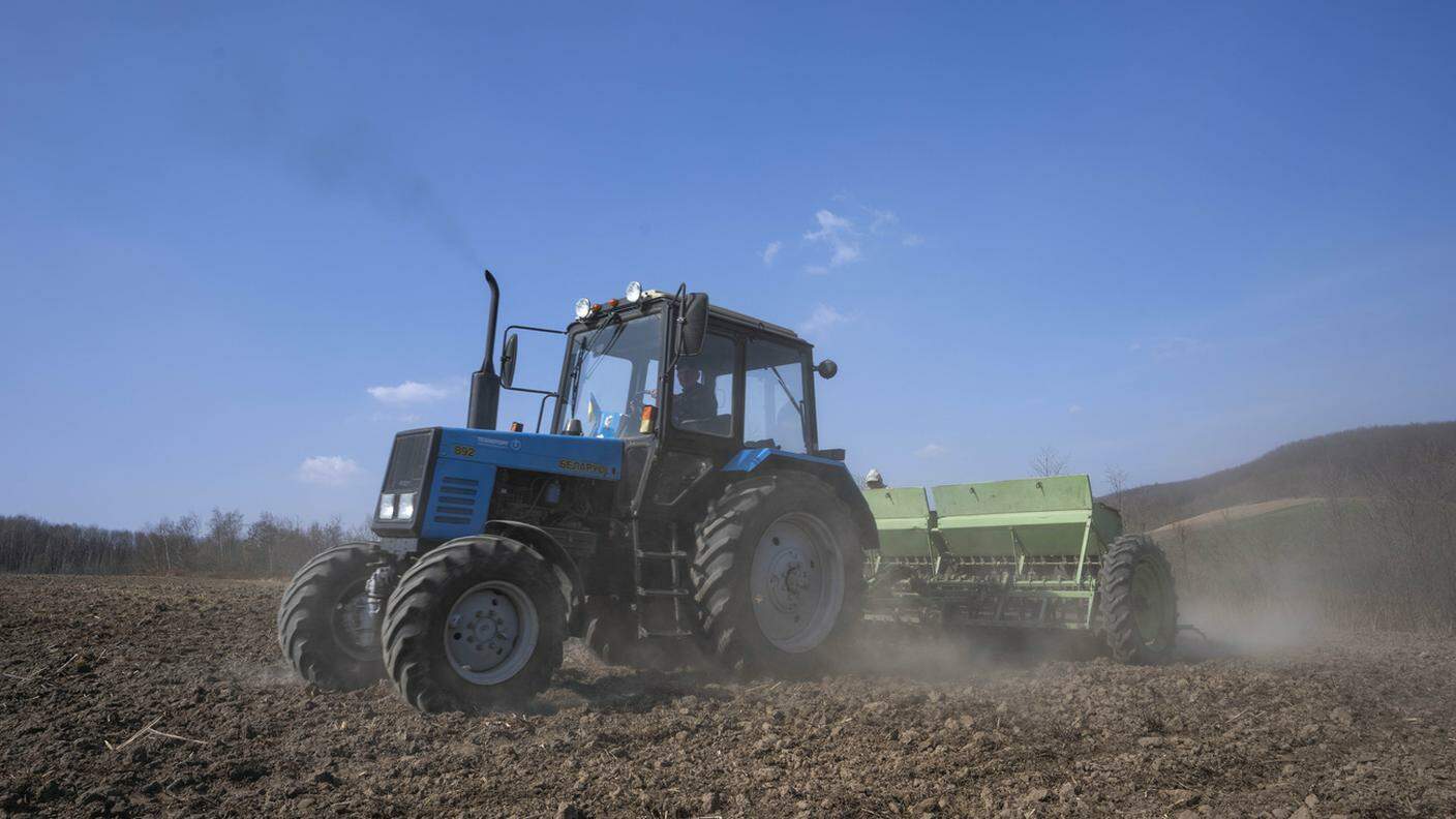Lavoratori al lavoro in un campo nell'ovest dell'Ucraina, difficilmente il grano prodotto riuscirà ad arrivare in Egitto