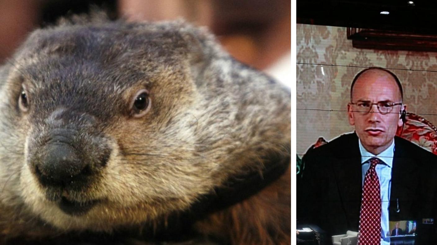 marmotta2,ansa ky.jpg