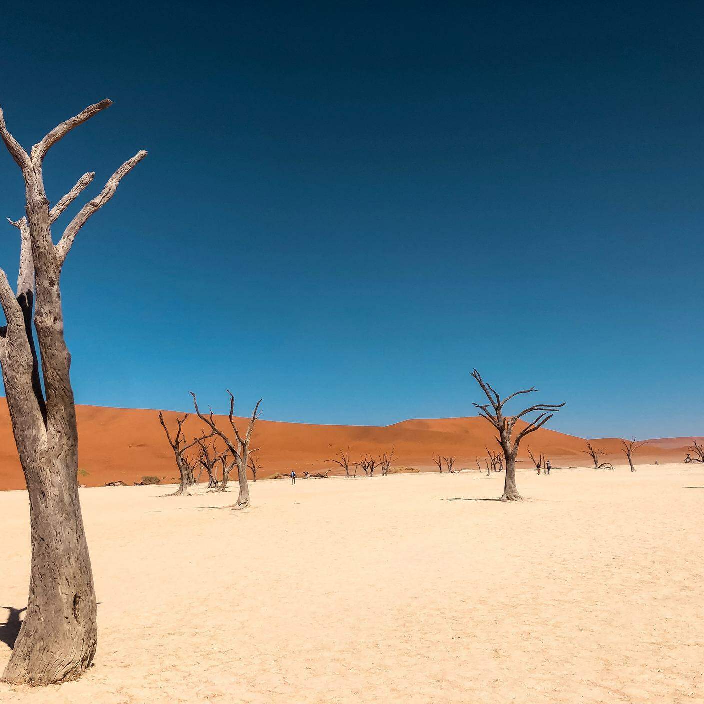 Zona desertica in Africa