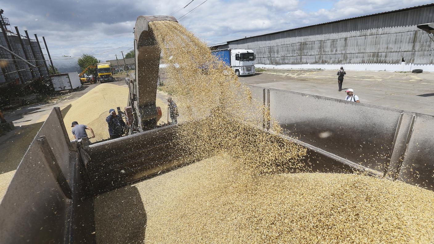 Grano Ucraina depositi