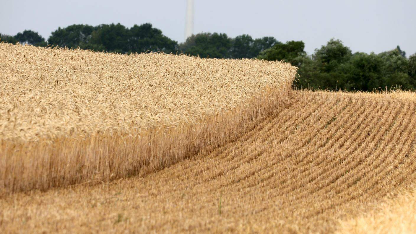 Kiev mantiene rotte alternative per il grano ucraino