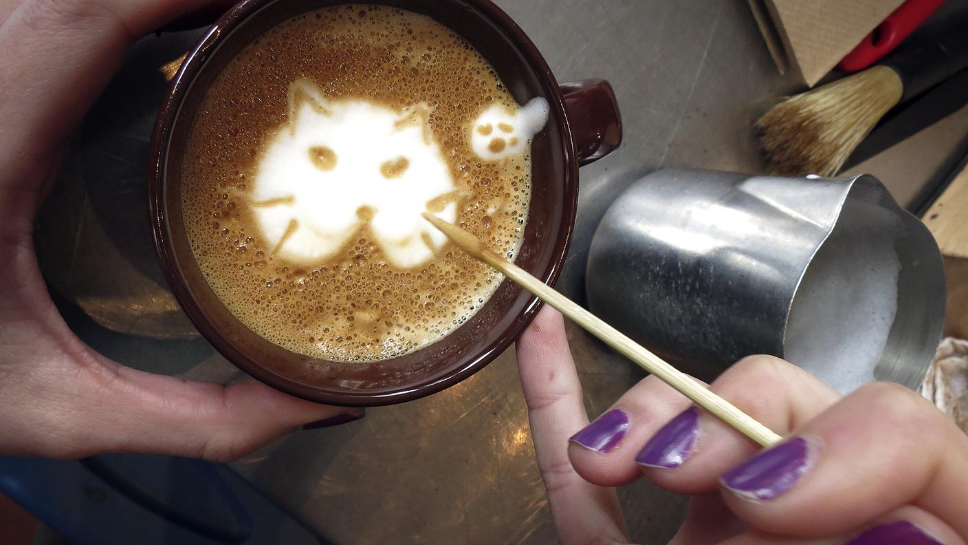 Cat Café New York