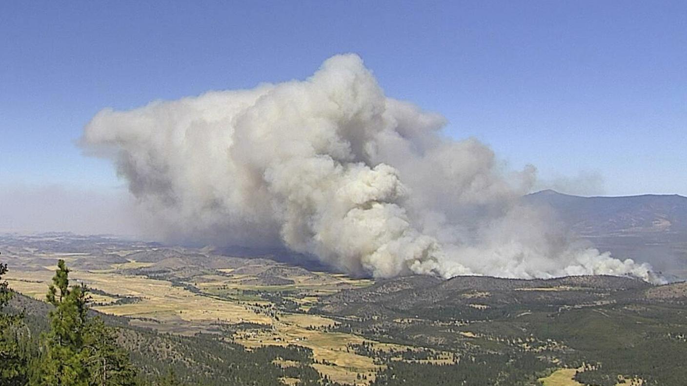 L'incendio vicino a Weed