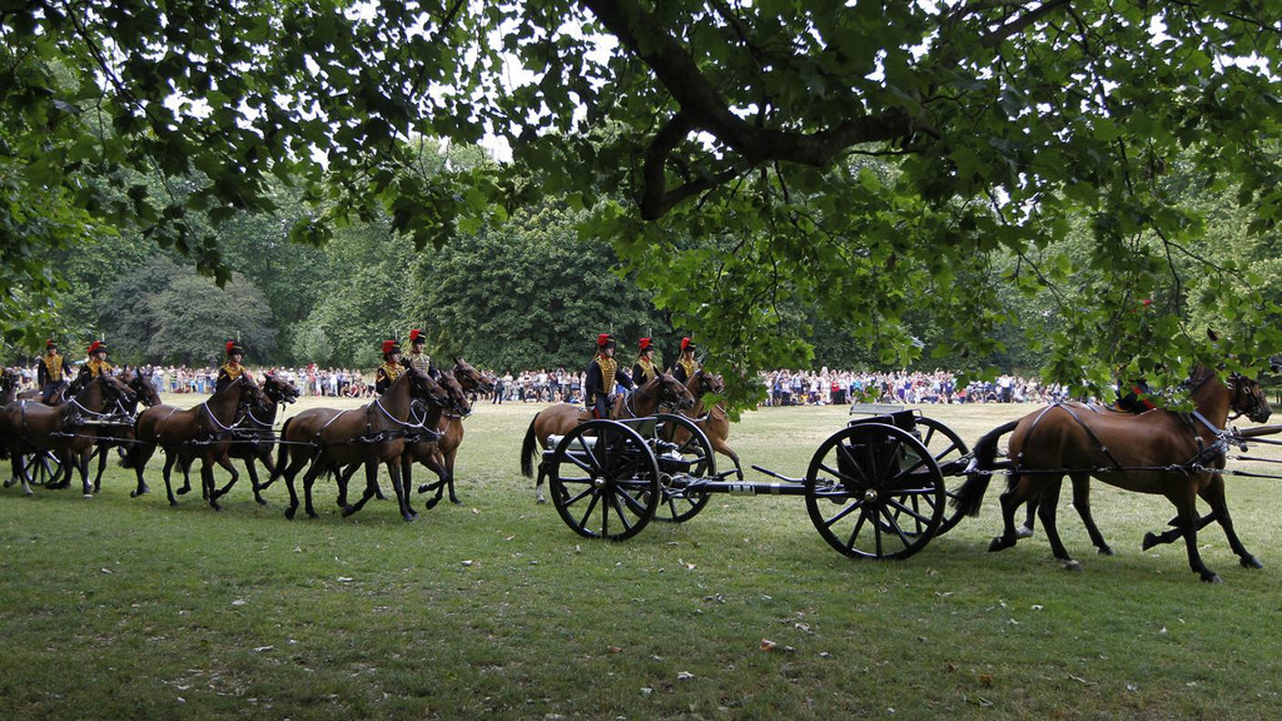 royalbaby festa ky5.JPG