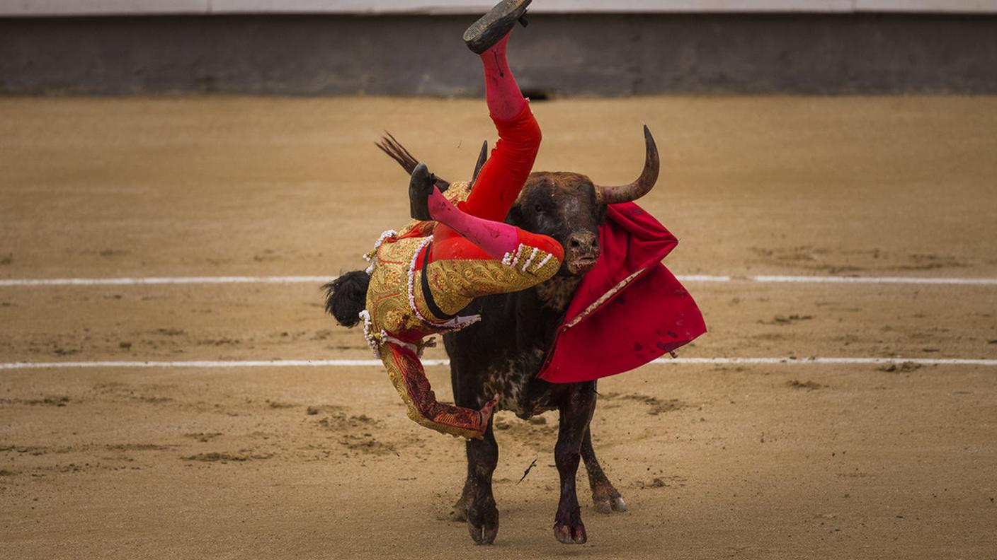 Il torero Jimenez Fortes