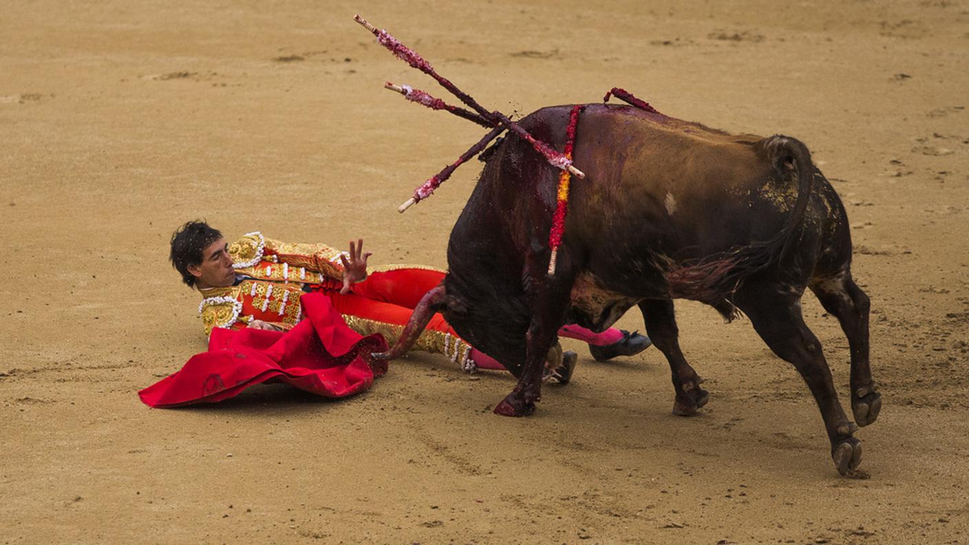 Il torero Jimenez Fortes