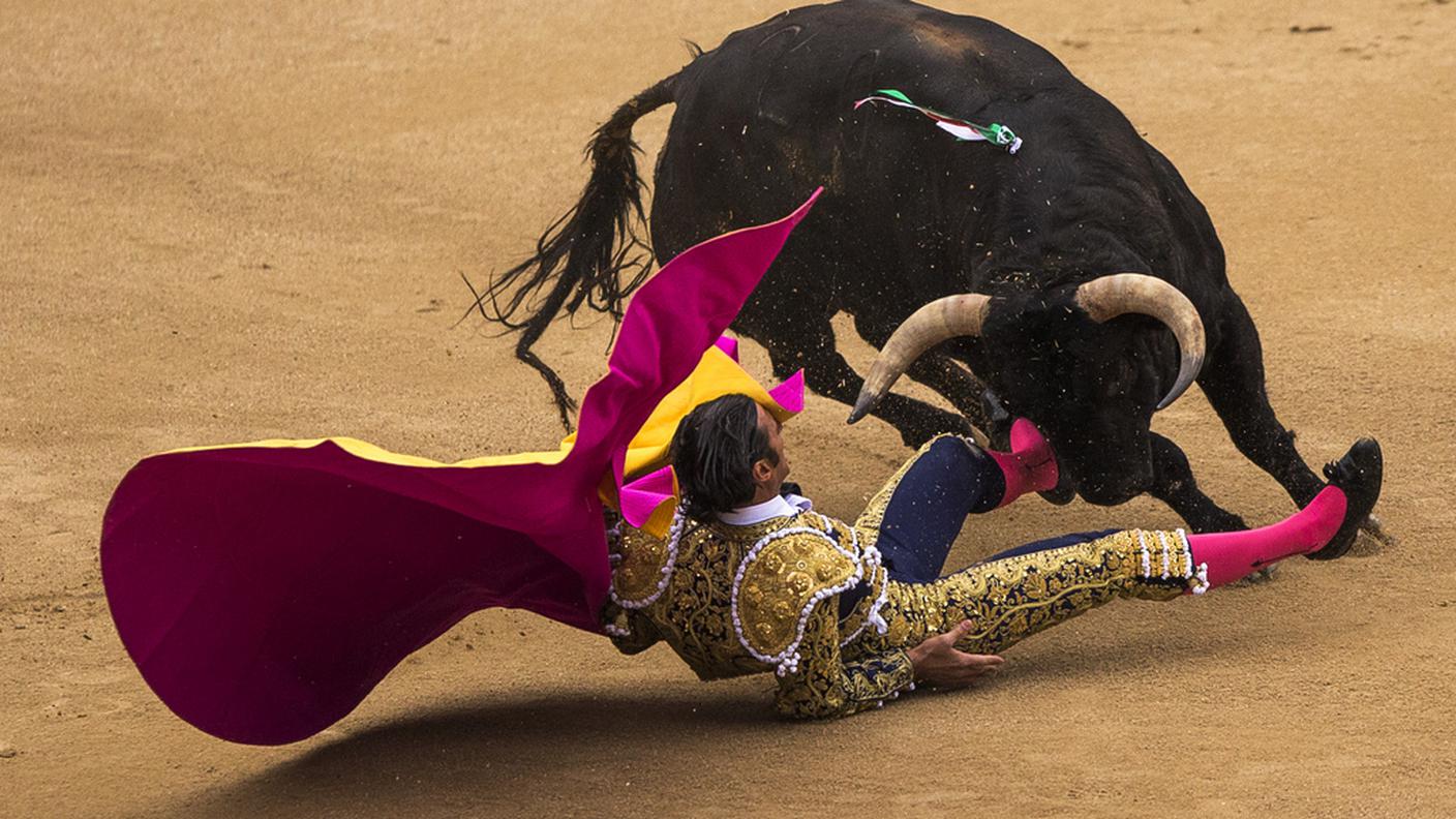 Il torero David Mora