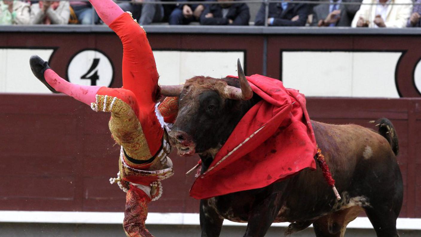 Il torero Jimenez Fortes