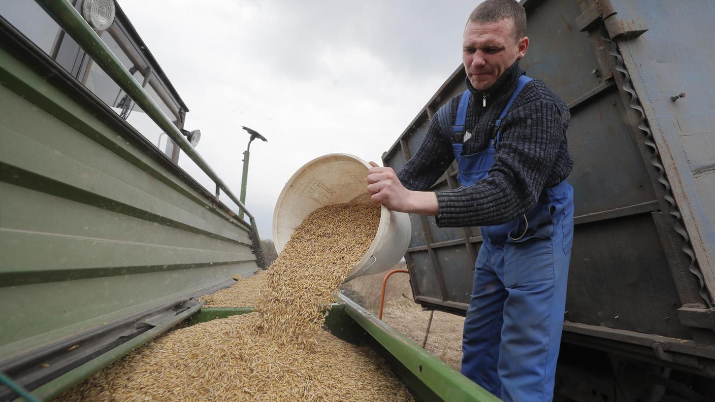 L'Ucraina invasa dai russi fornisce una quantità immensa di cereali in tutto il mondo