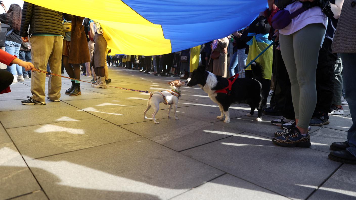 ManifestazioneUcrainaBelgrado.JPG
