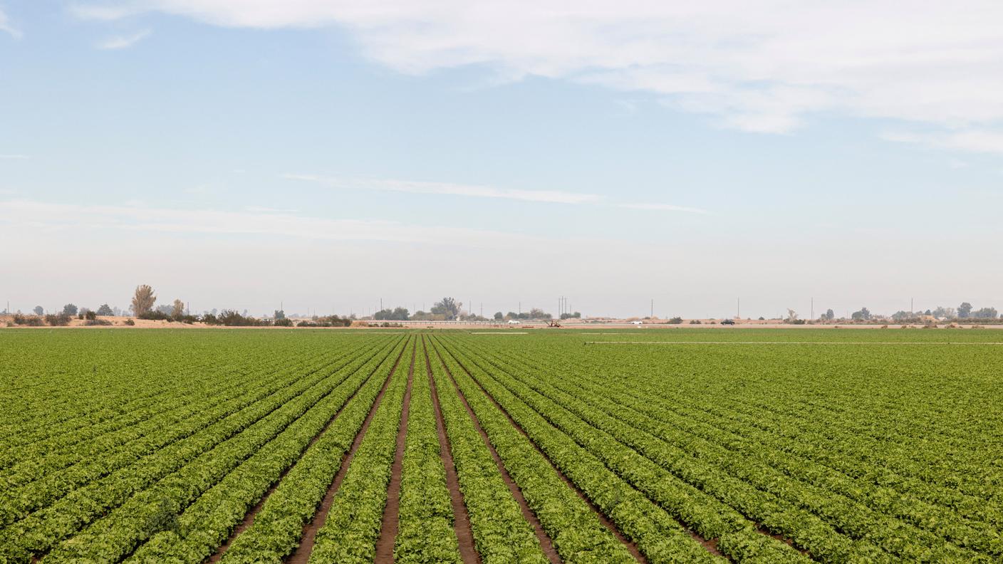L'agricoltura nella Imperial Valley in California, grande consumatrice dell'acqua del Colorado