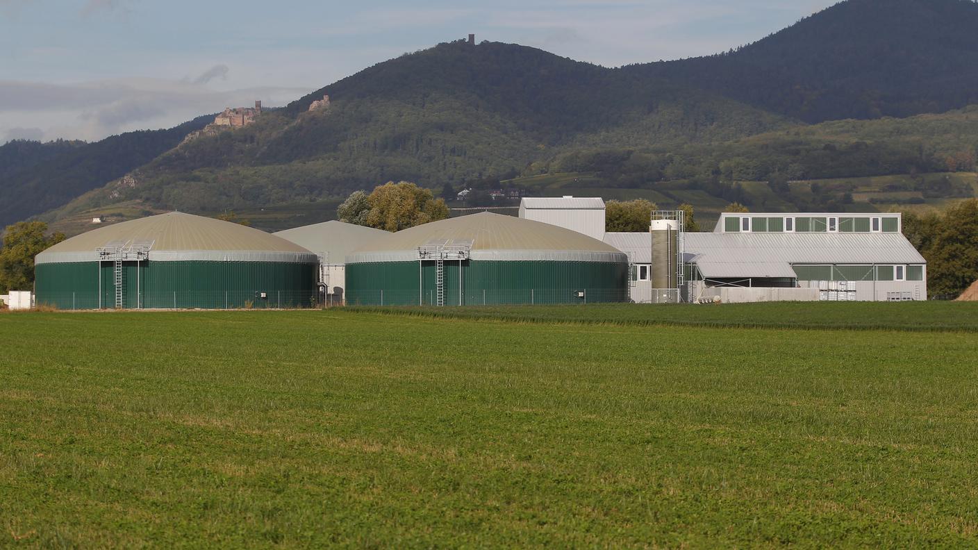 alsazia biogas miele blu 1 re.jpg
