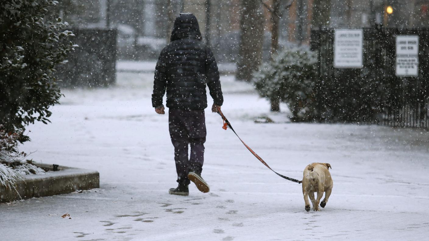 nevicata new jersey re.jpg