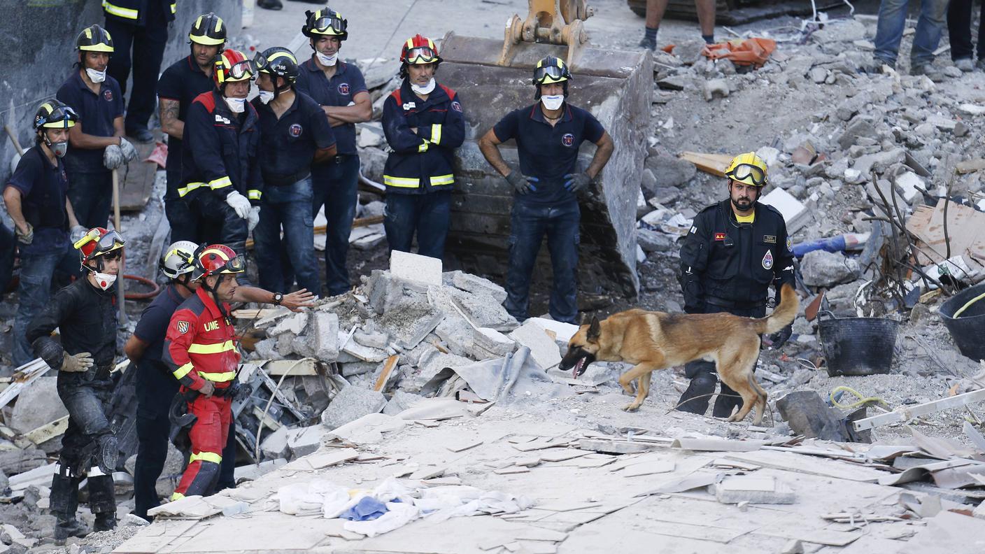 I cani da catastrofe cercano le persone forse rimaste sotto i calcinacci