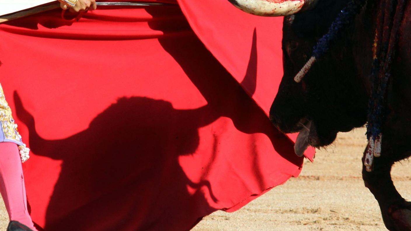 Corrida Pamplona, Spagna, 10.7.2010, Ky_.JPG