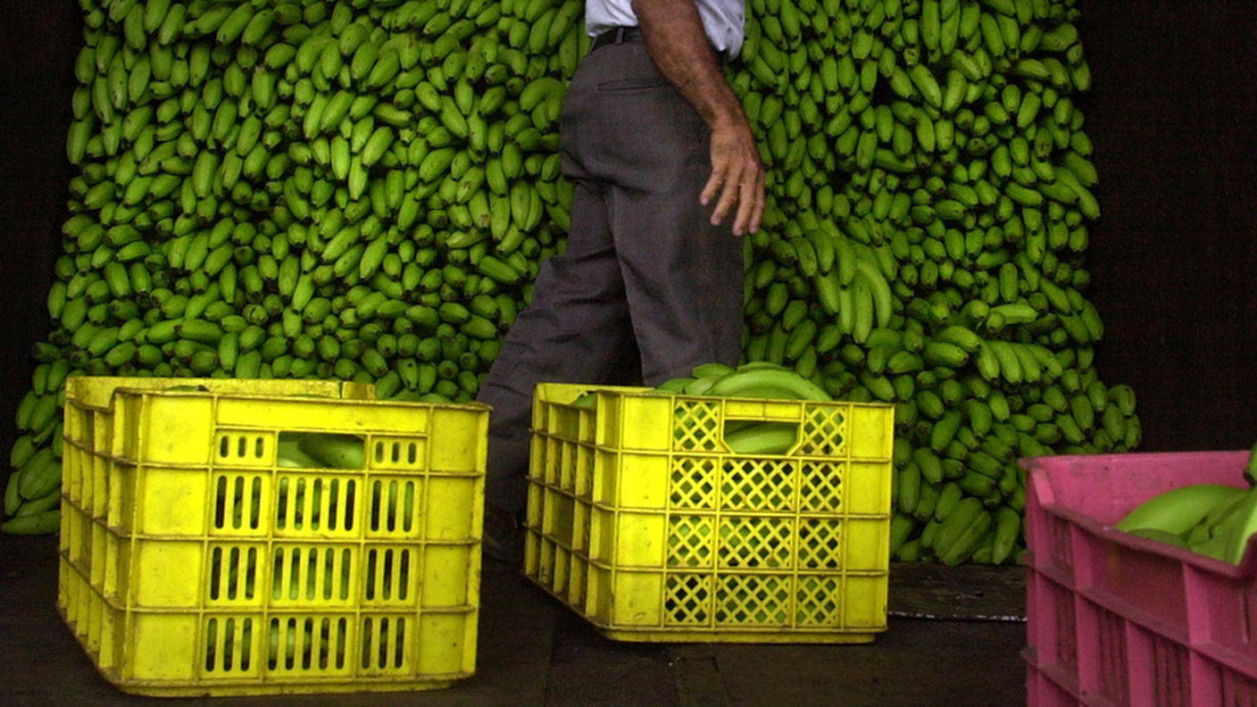 Non solo frutta dalla Colombia