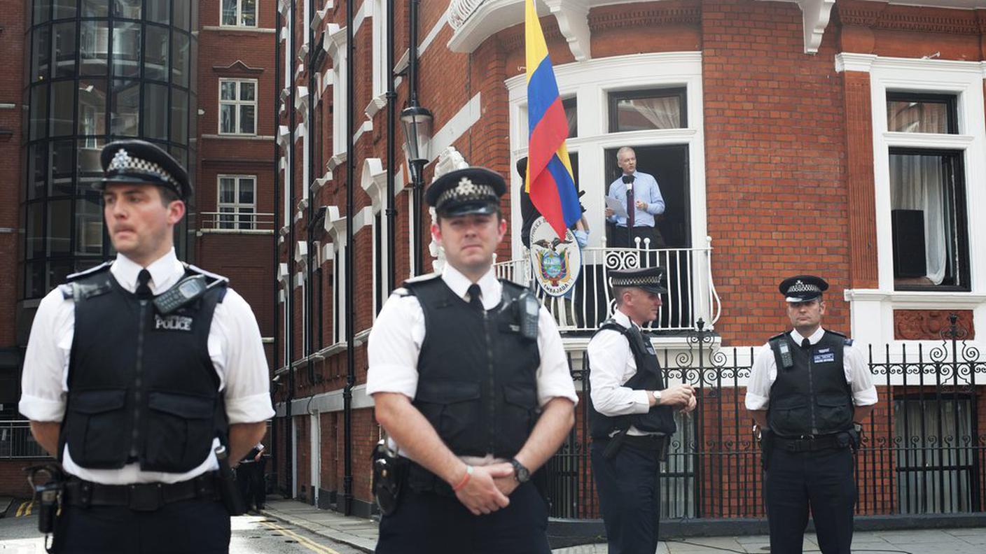 ky_assange3.jpg