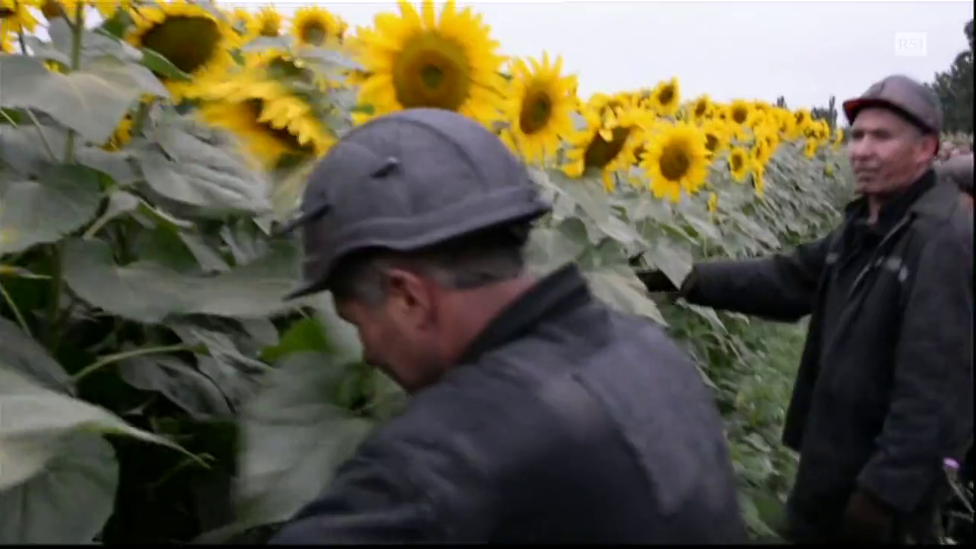 TG20 DEL 18.07.2014: "INDAGINI SUL VOLO" DI ANGELO D'ANDREA
