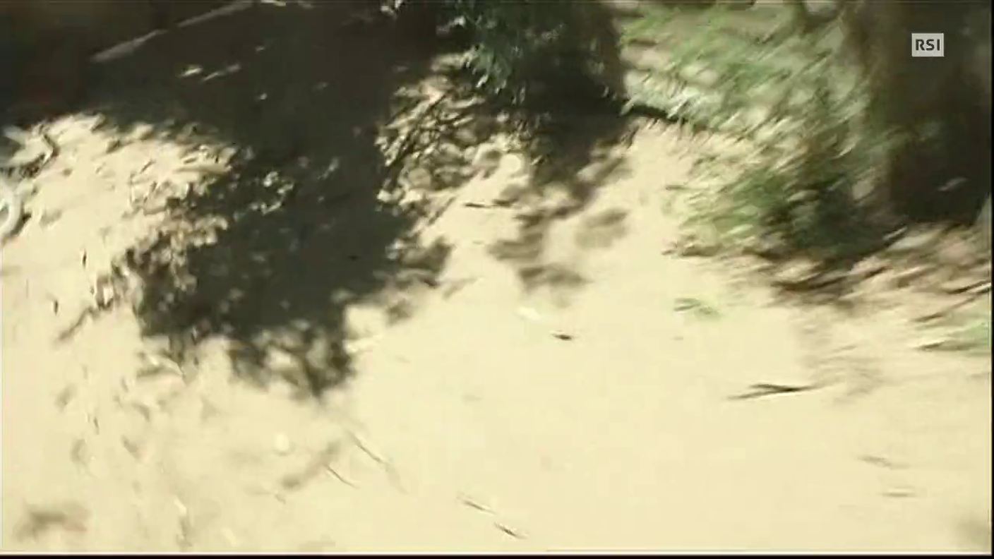 TG20 del 08.08.2014: "Gaza: tregua finita" di Jonas Marti