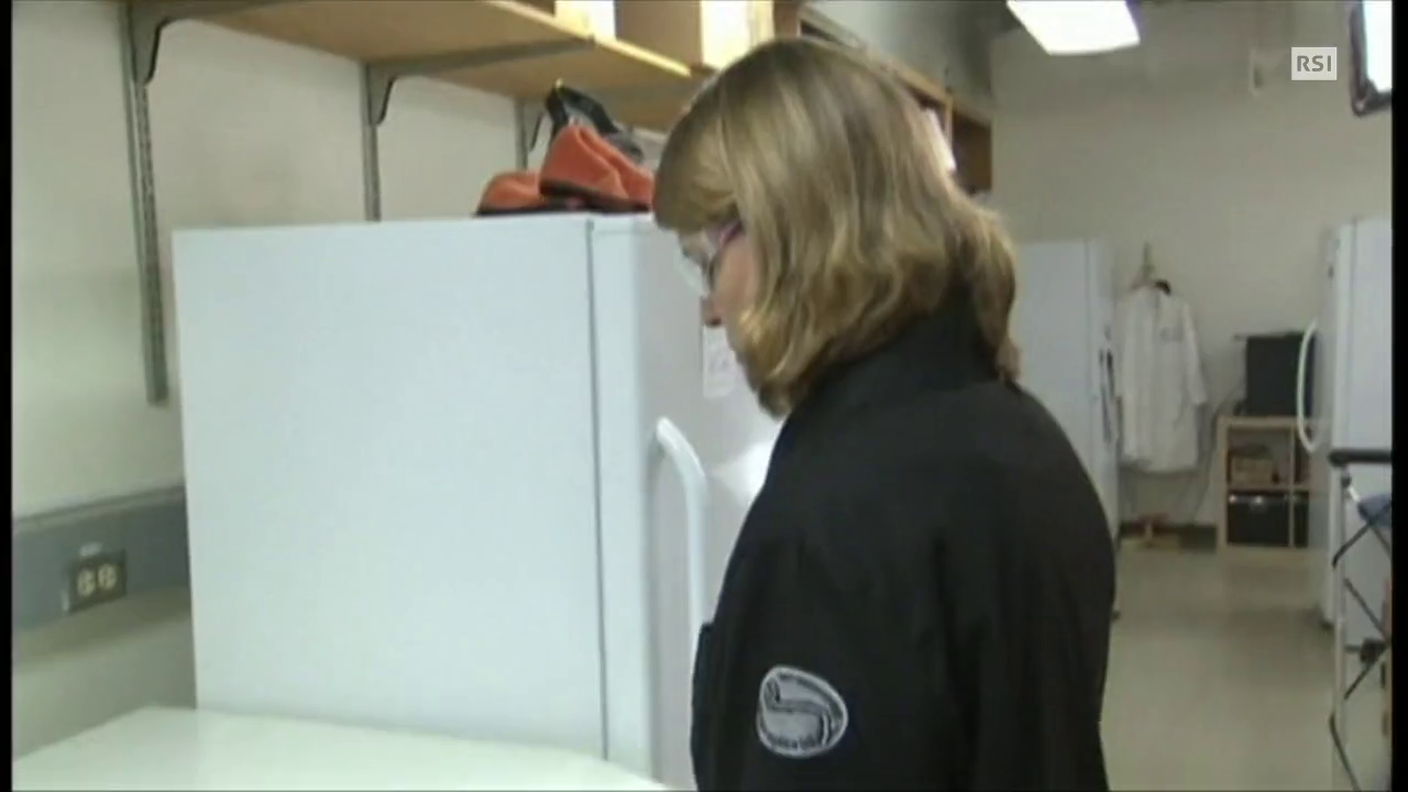 TG20 del 12.08.2014: "OMS farmaci sperimentali per ebola" di Massimo Isotta