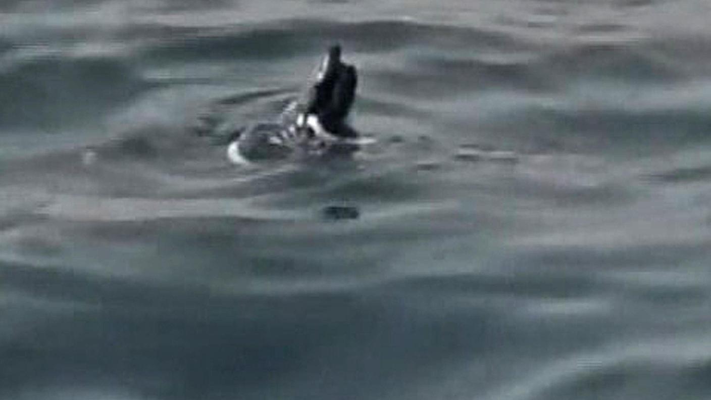 Una scarpa affiora al largo della Libia dopo un naufragio avvenuto ad agosto