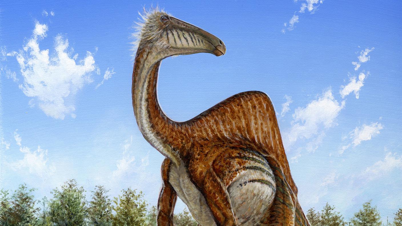 Il Deinocheirus mirificus