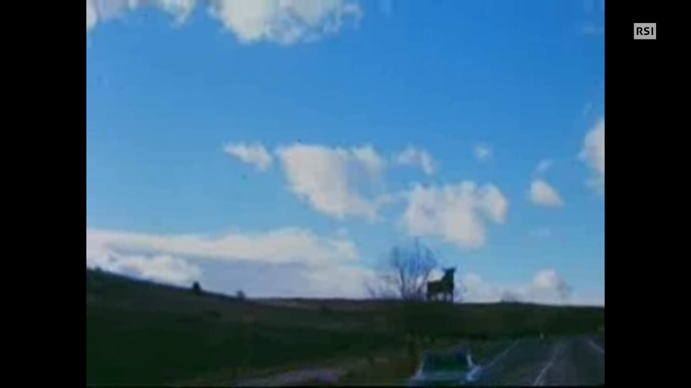 ''Adios dictadura adios", del 1977