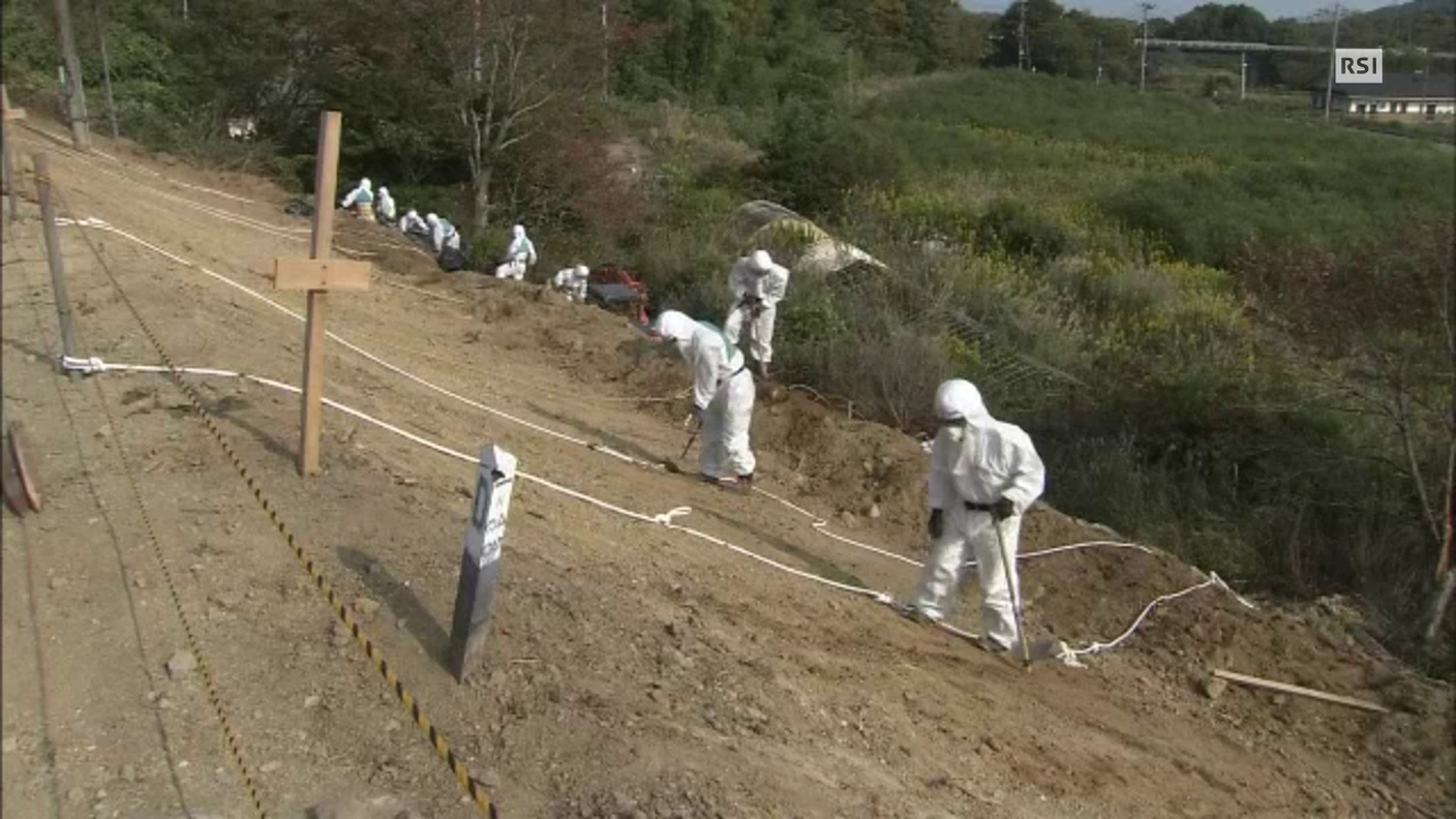 Fukushima: a cinque anni di distanza, le operazioni di bonifica continuano - EBU