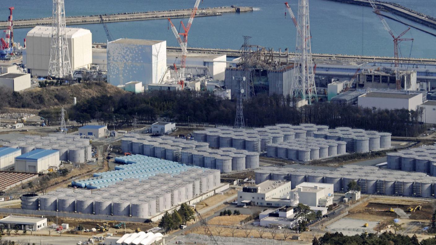 Fukushima topo morto tepco 22.04.2013 ky.JPG