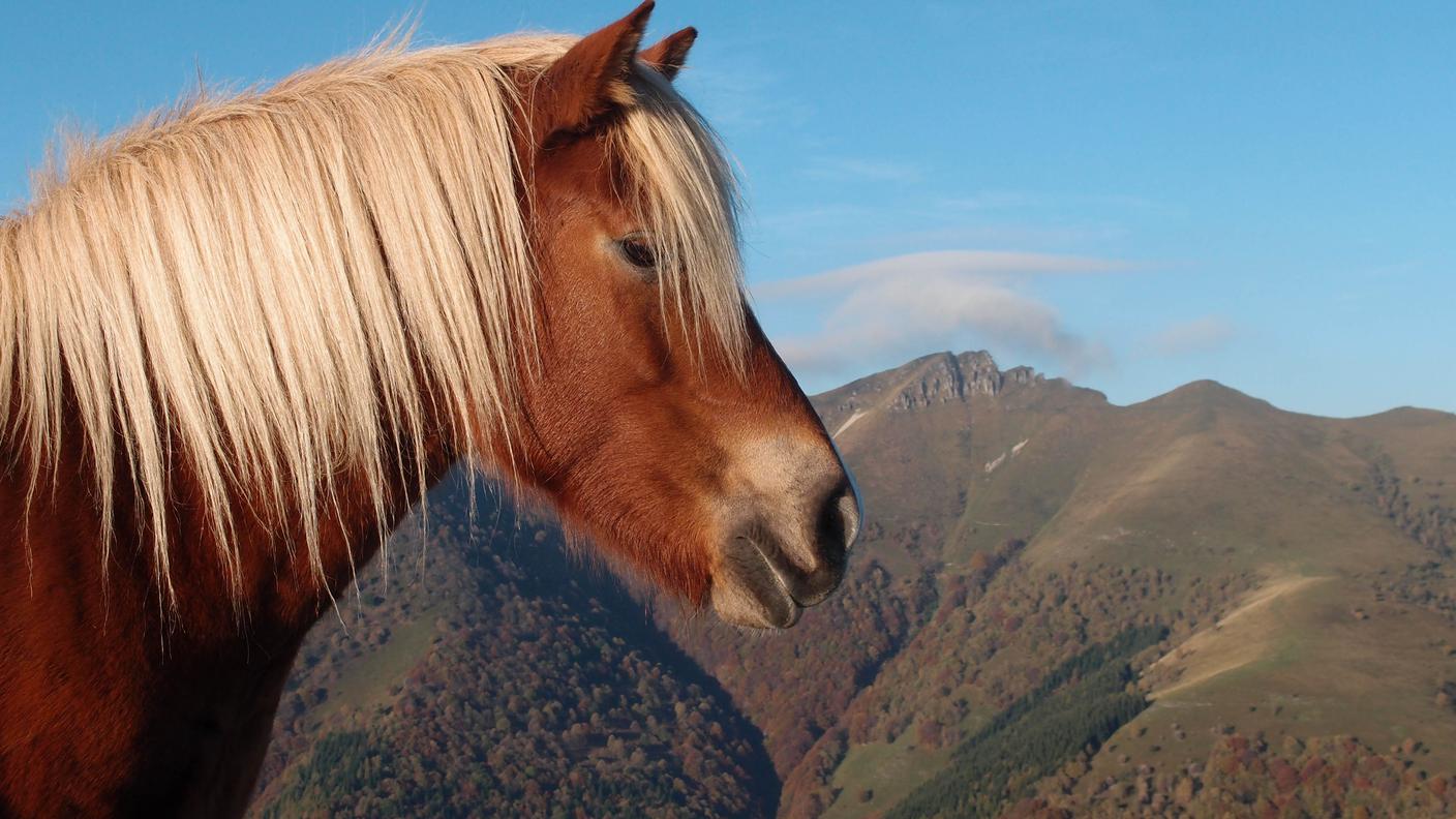 sguardo sulla valle.jpg