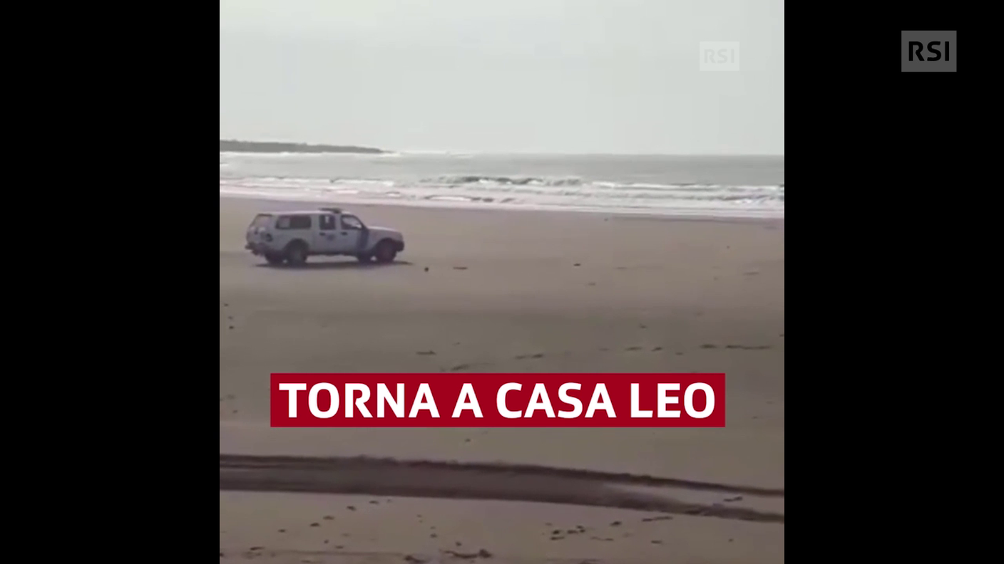 Leo è tornato a casa