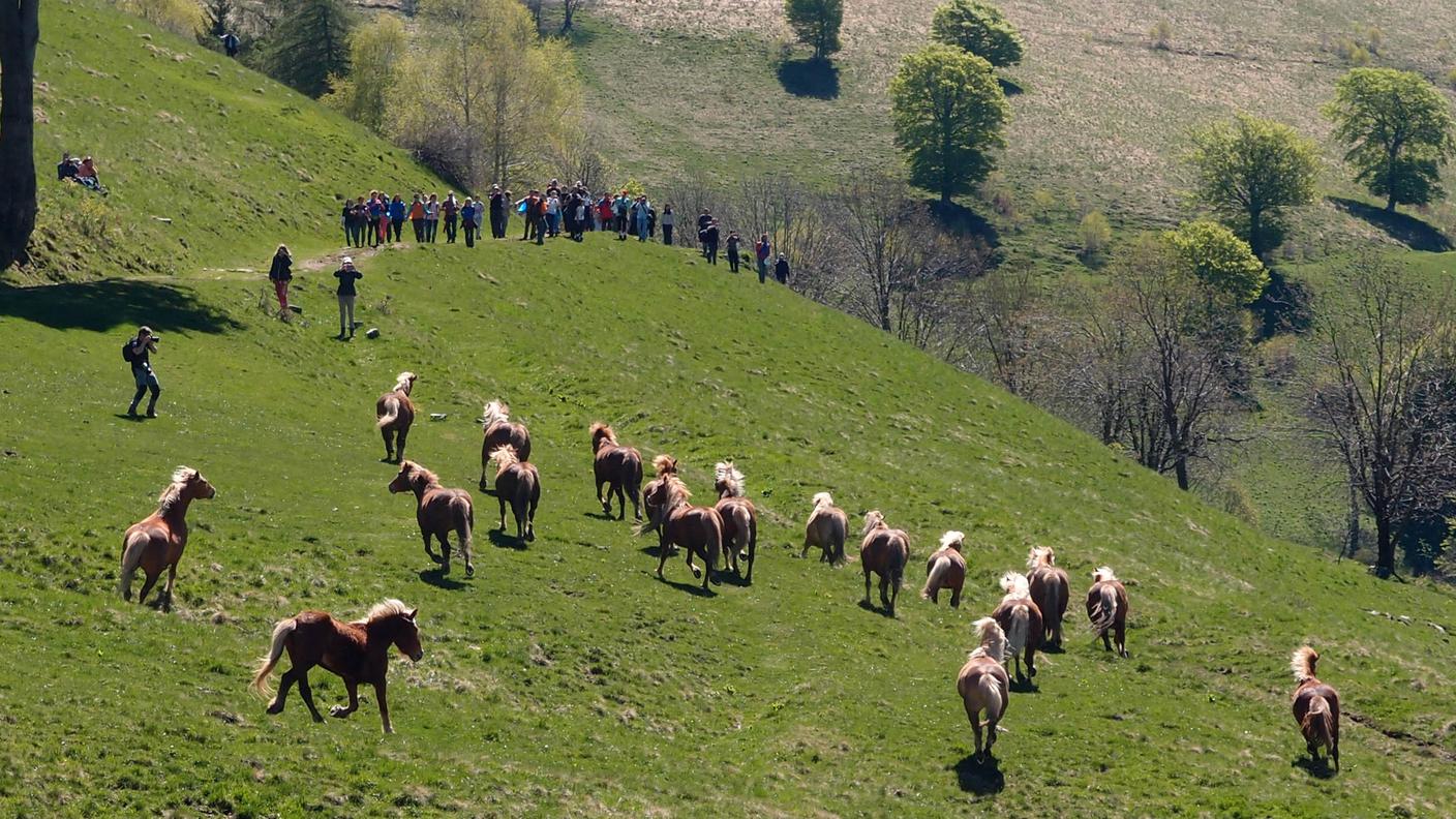 In corsa verso la libertà