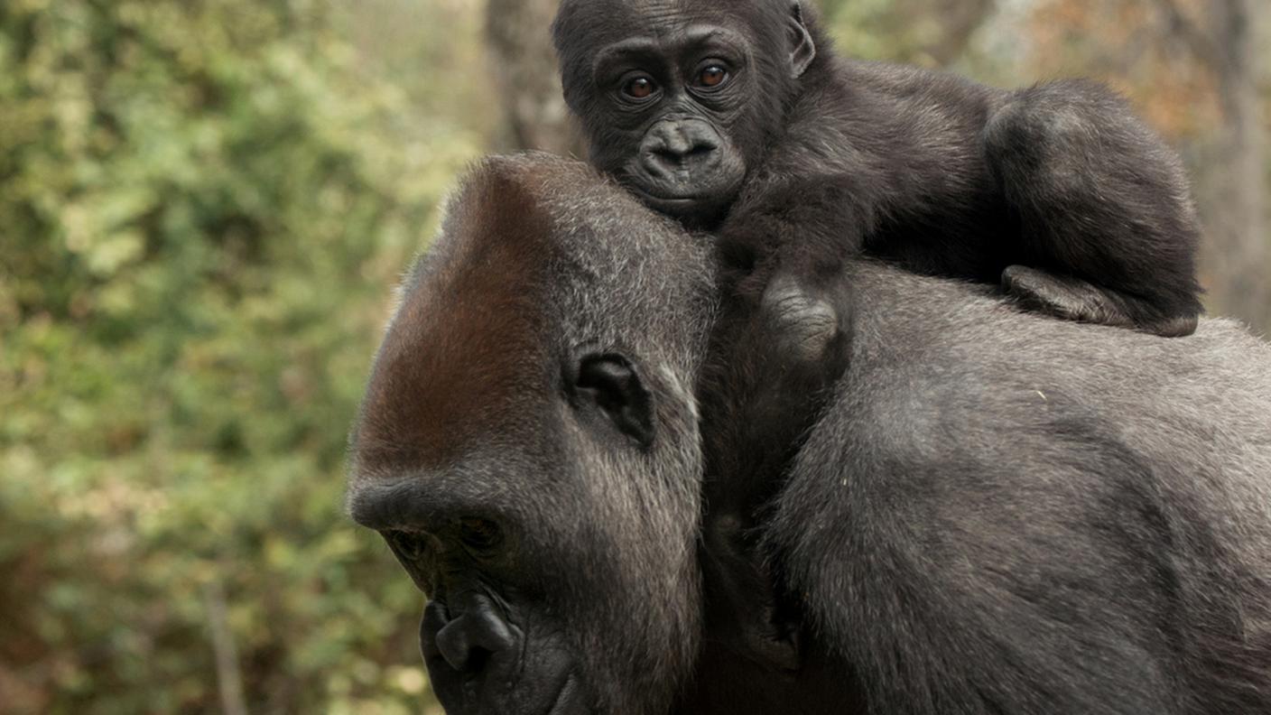 Una mamma con il suo cucciolo
