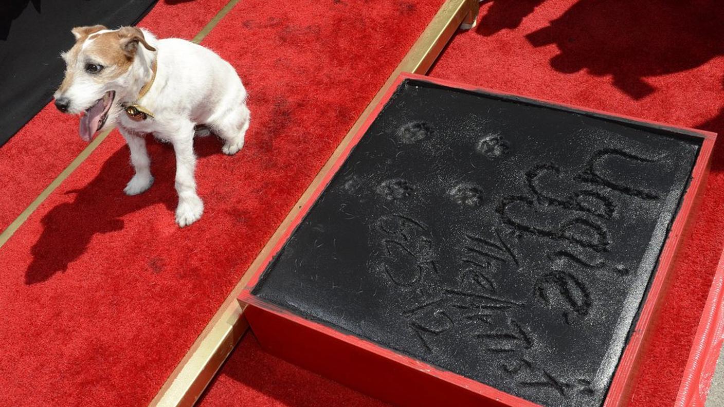 Le impronte sulla Walk of Fame