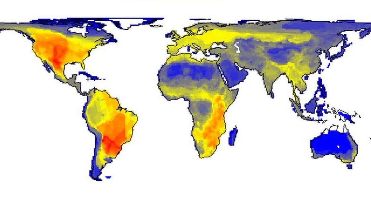 Ipotetica densità dei grandi mammiferi ogni 100 km quadrati