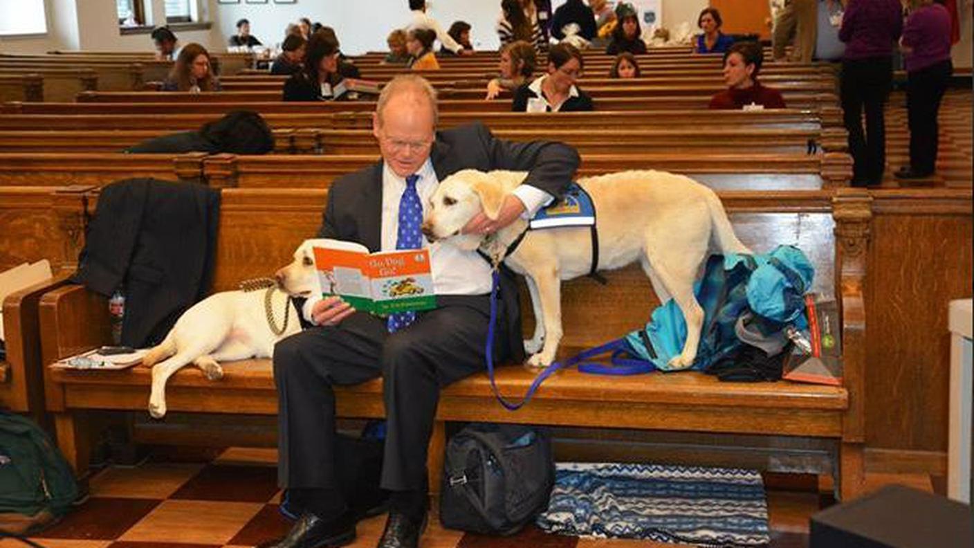 I cani entrano in tribunale