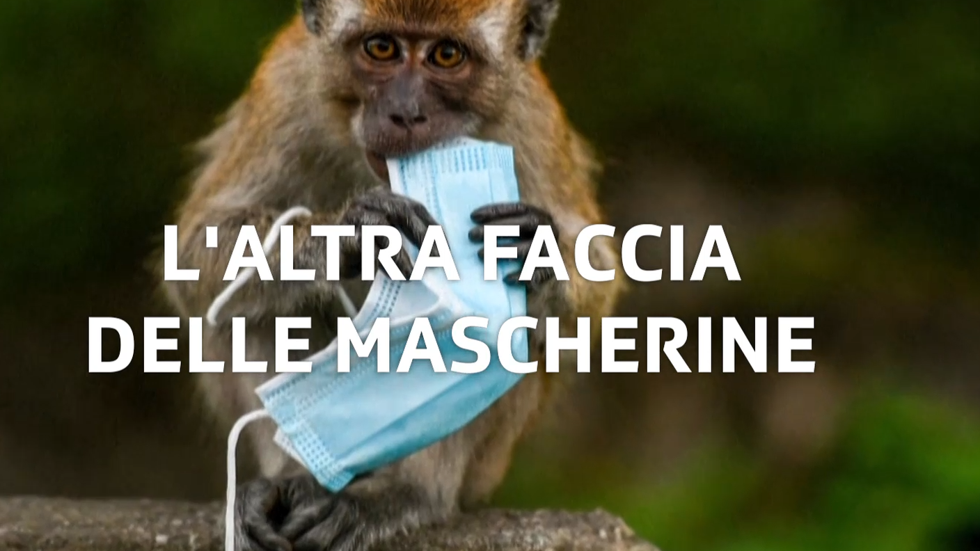 mascherine.PNG