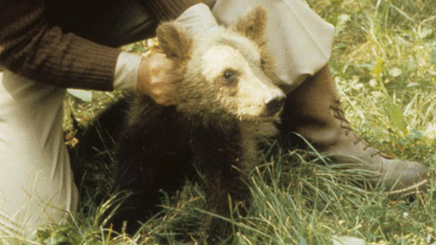 Quando era un cucciolo