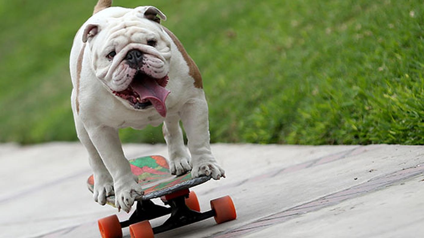 Otto a bordo del suo skateboard
