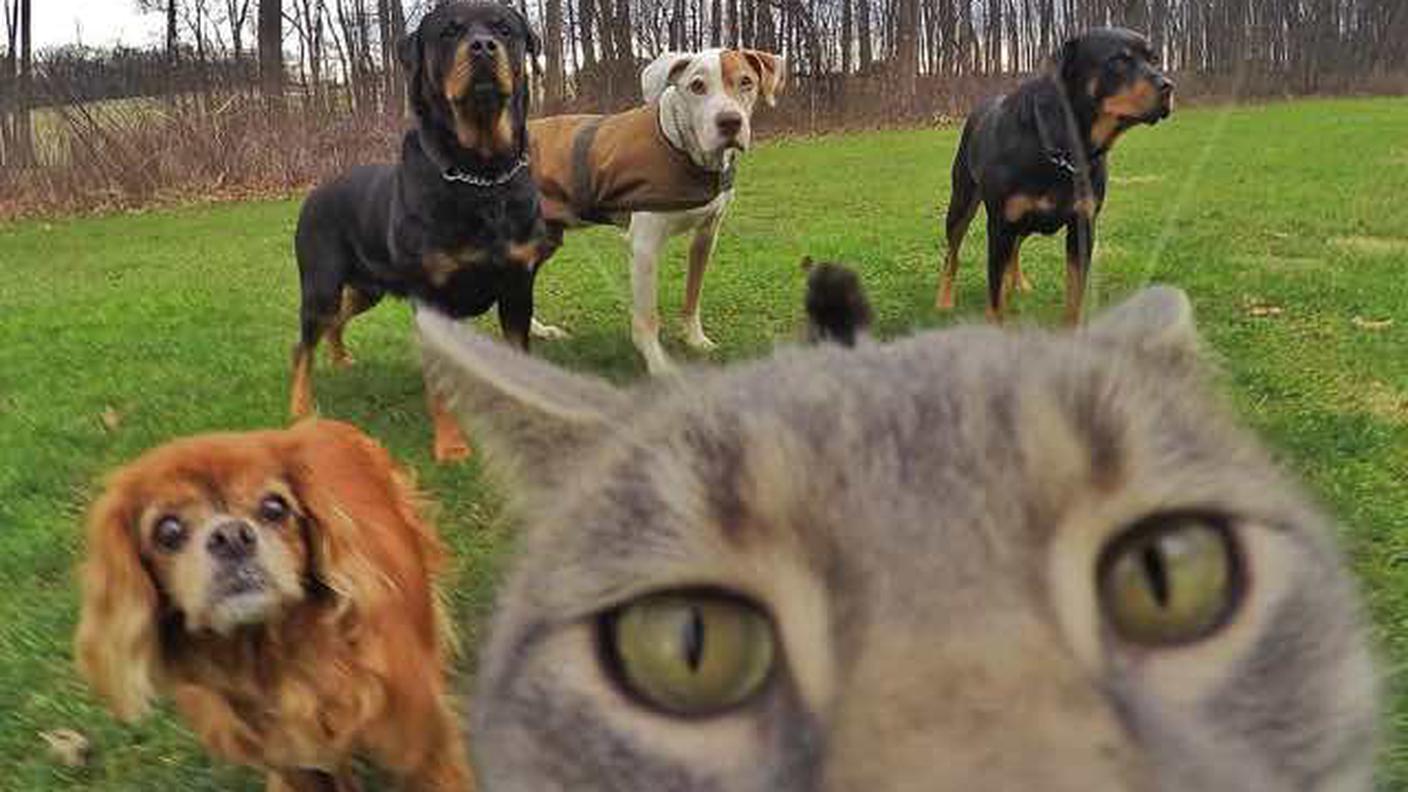 ... E questo è un selfie mentre regolo le impostazioni della camera...