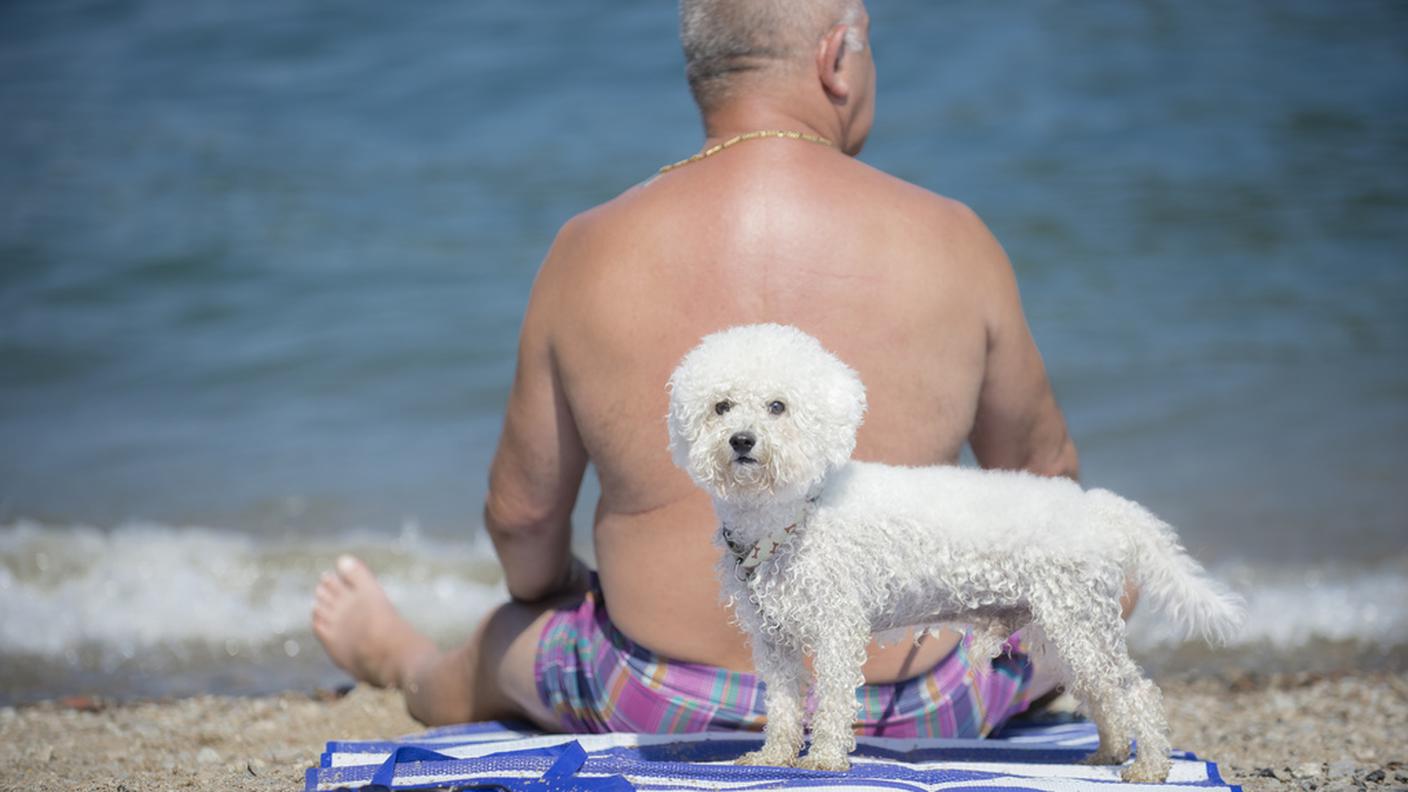 Tale cane, tale padrone...