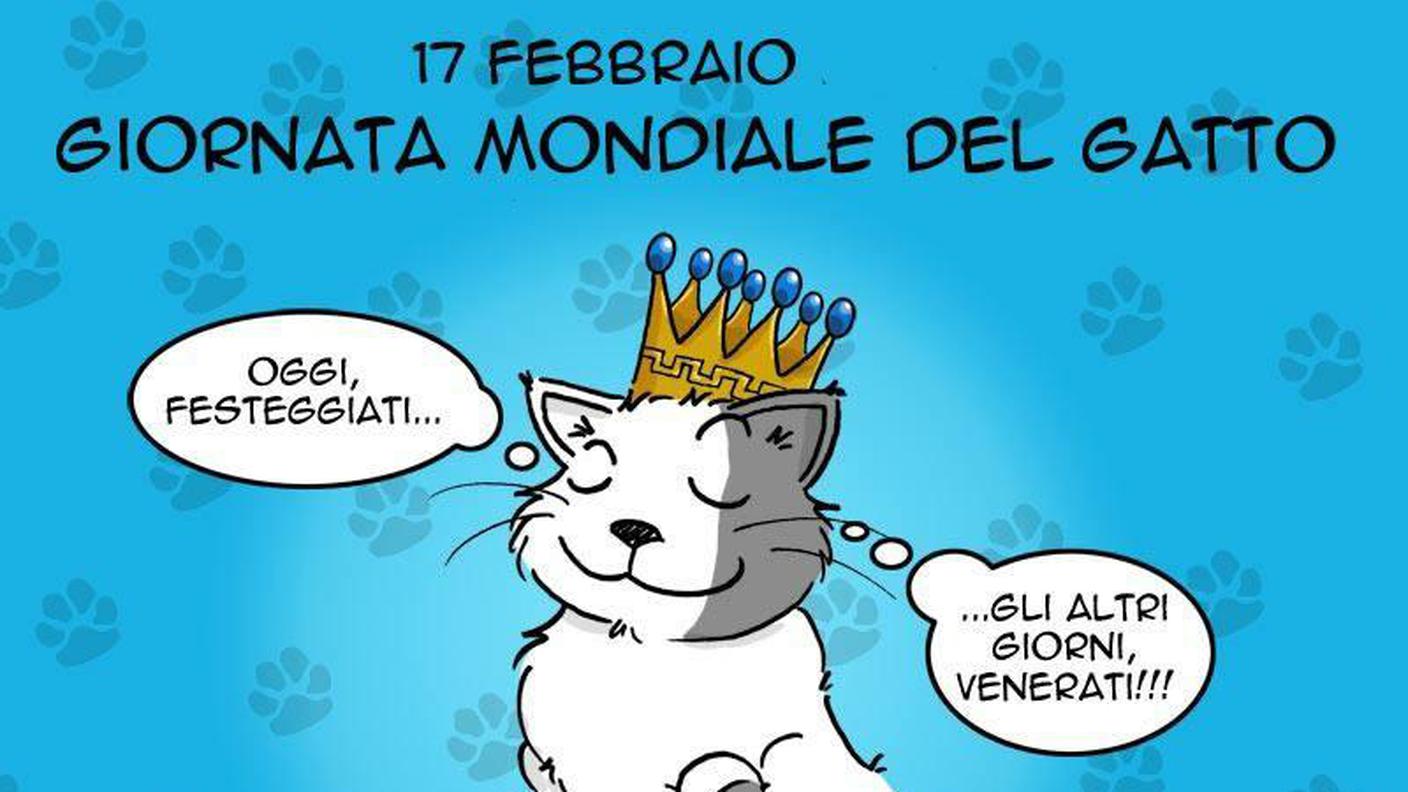 Che sia, davvero, una giornata speciale