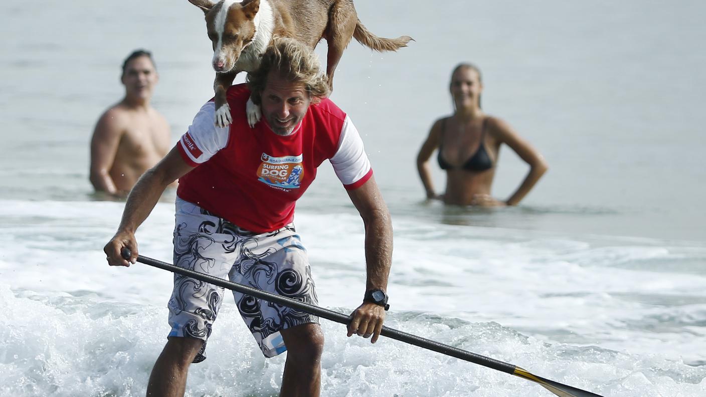 Con l'allenamento, le acrobazie