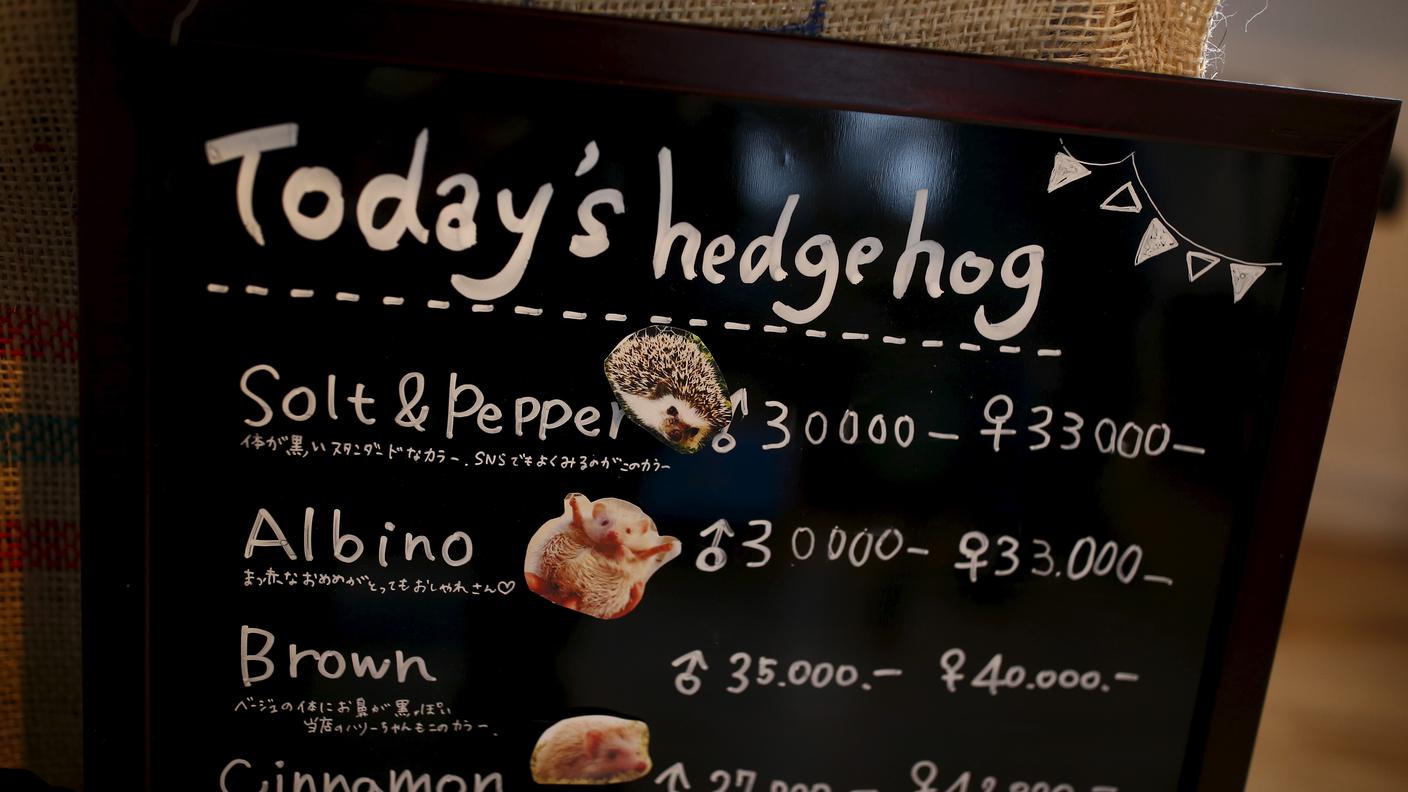 Il "menu" del bar dei ricci