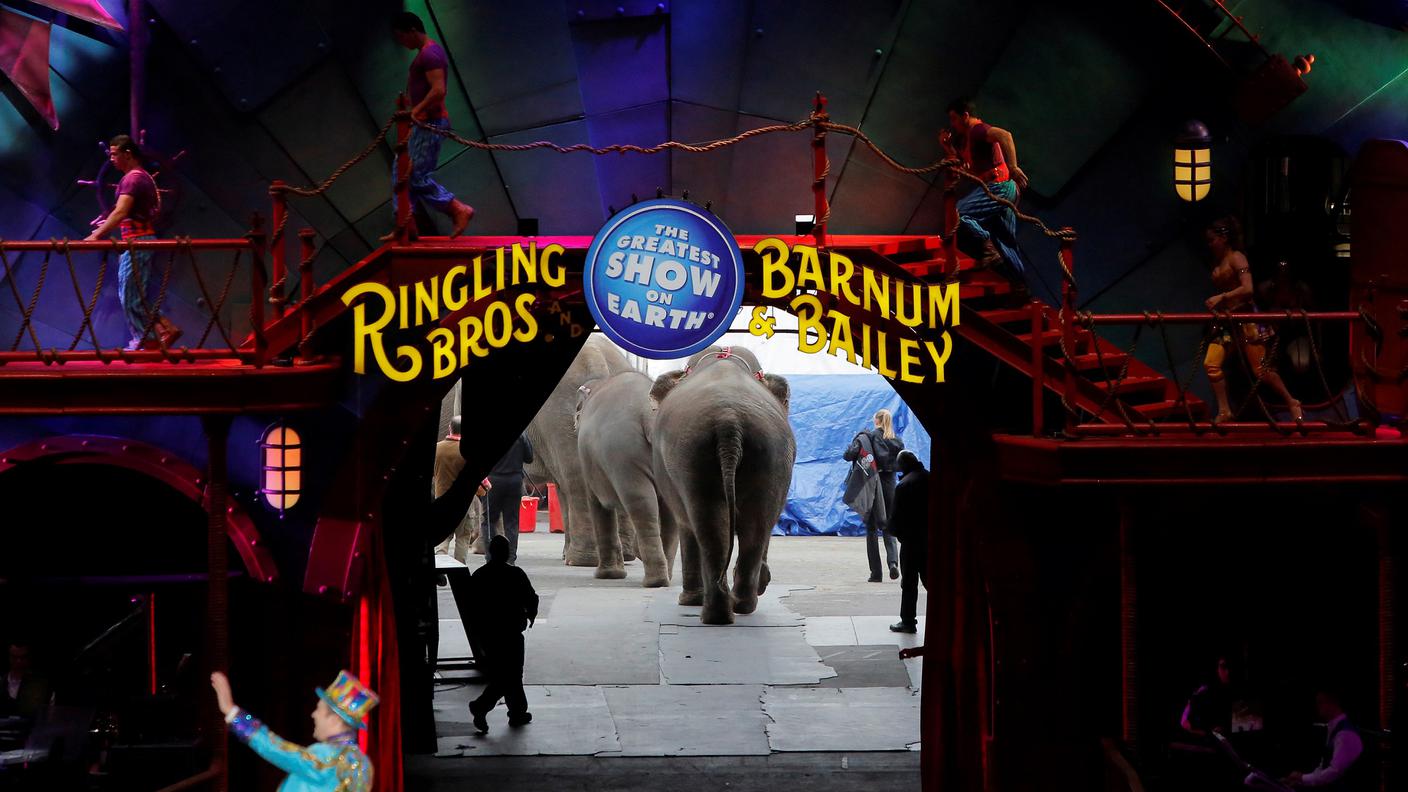 Gli elefanti lasciano l'arena del circo dopo il loro ultimo spettacolo