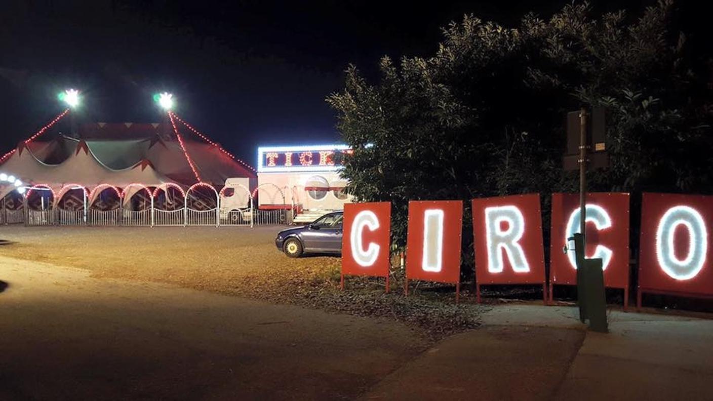 Il Circo delle Stelle non sa capacitarsi del momento di follia del toro