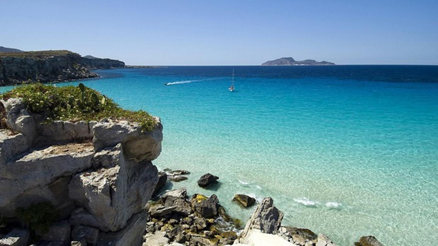 Scoperta una nuova specie di coleottero sull'isola sicula di Favignana