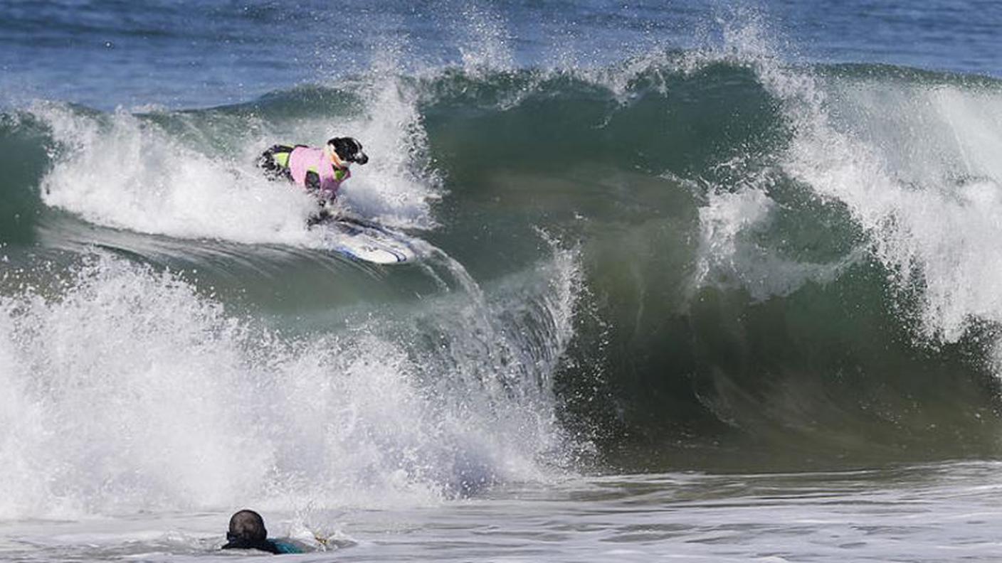 Let's surf