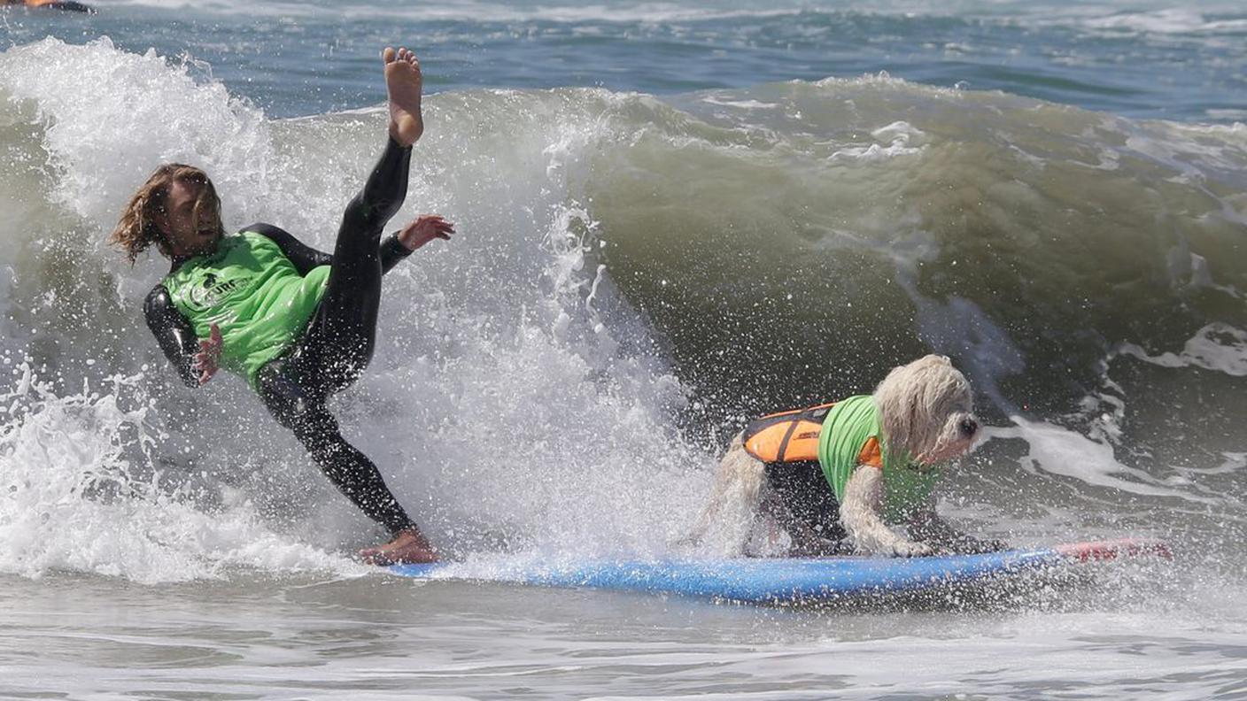 Let's surf